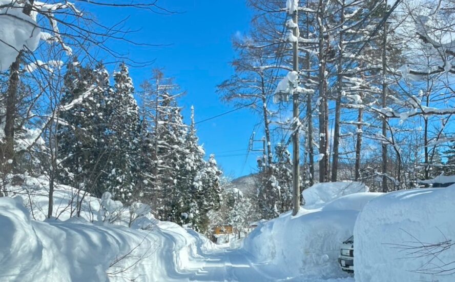 2025年2月の白馬村は数十年ぶりの大雪です